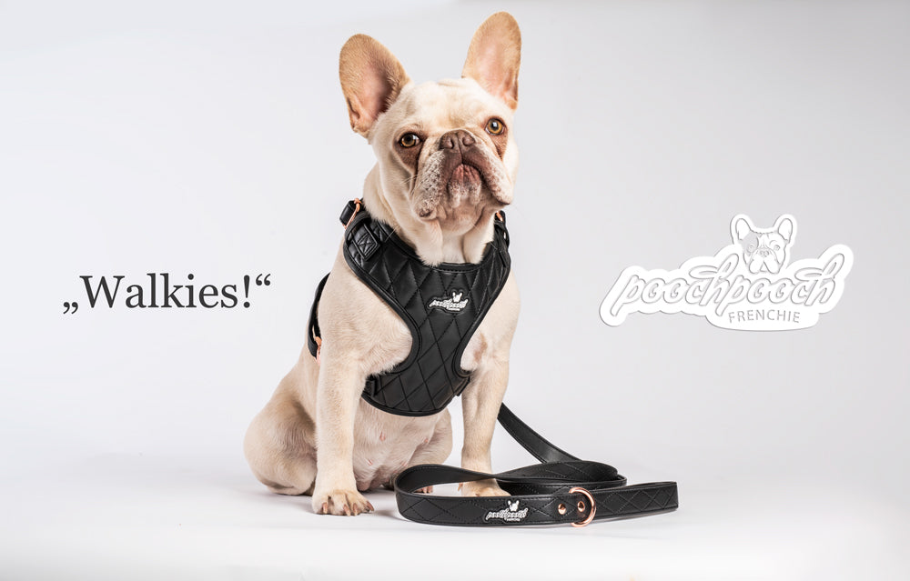 Luxury Dog Harness