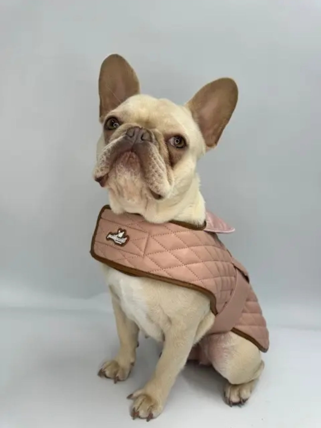 Luxury Dog Jacket