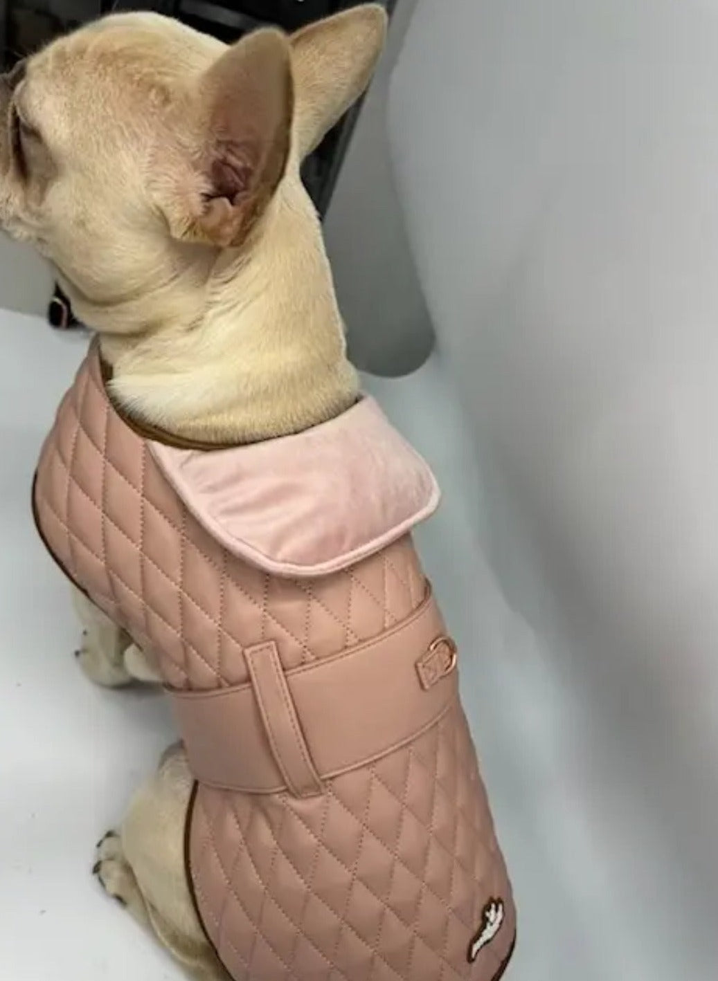 Luxury Dog Jacket