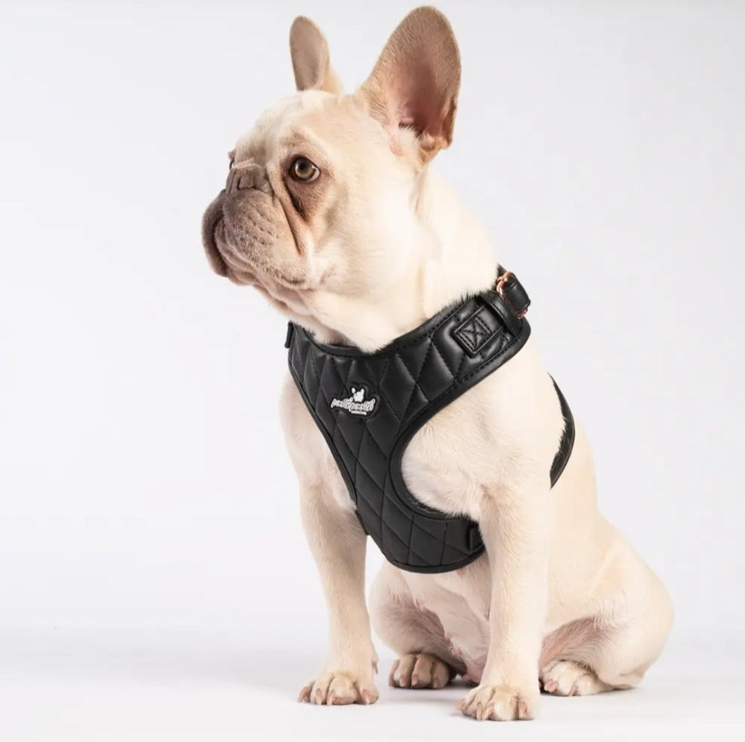 Luxury Dog Harness