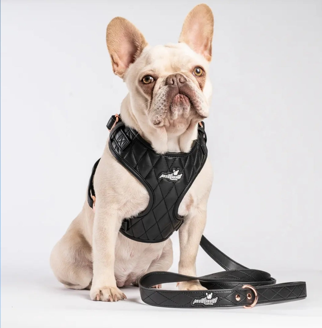 Luxury Dog Harness