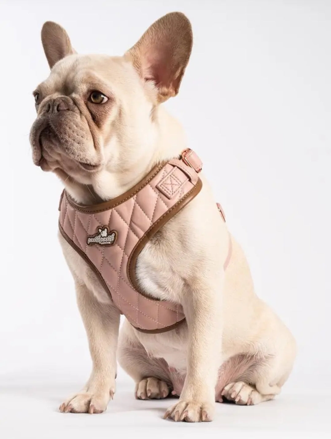 Luxury Dog Harness