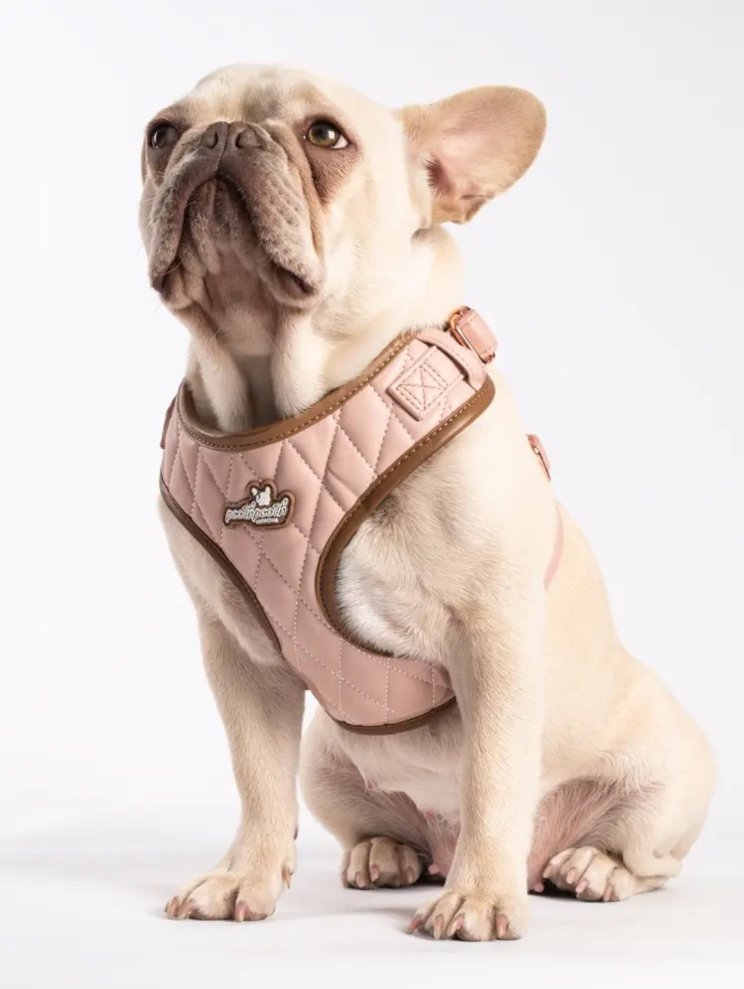 Luxury Dog Harness