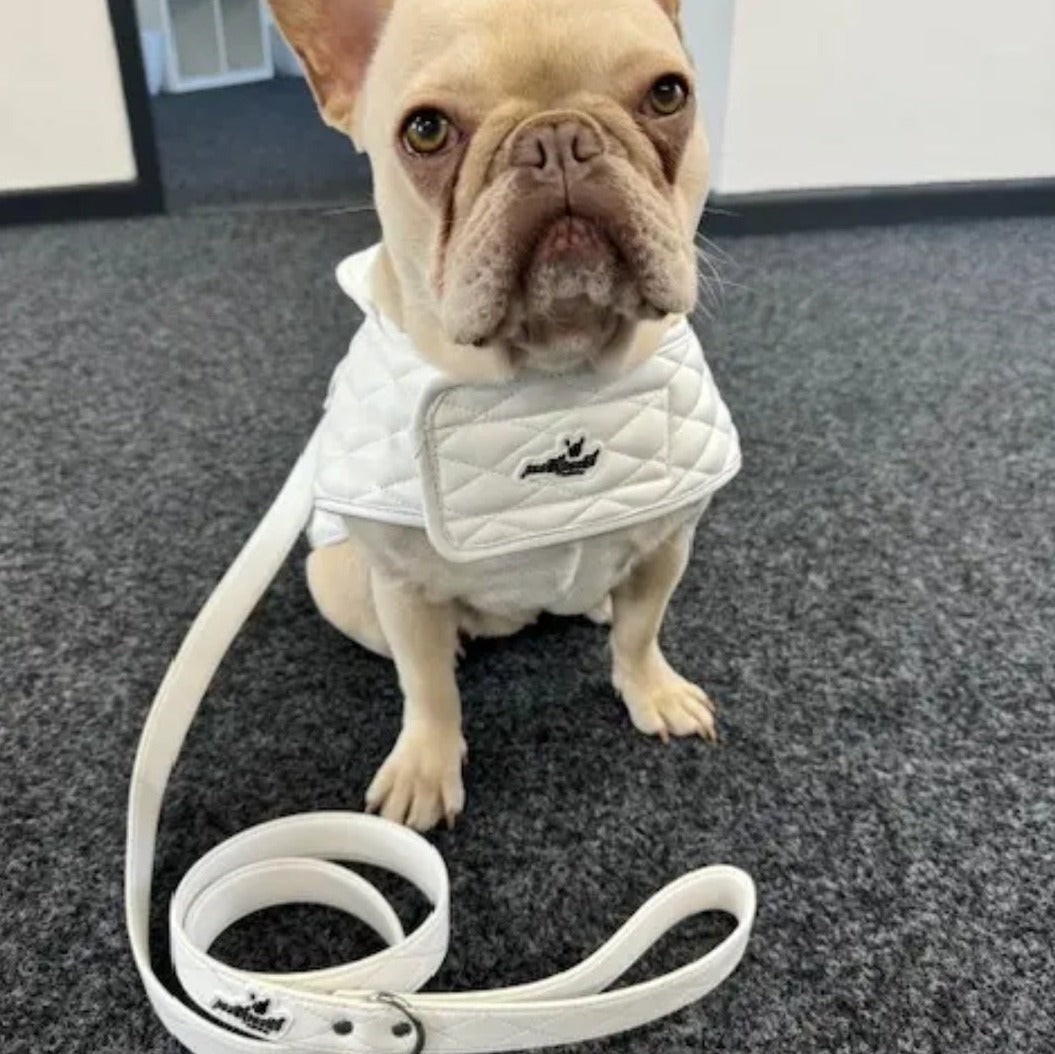 Luxury Dog Leash